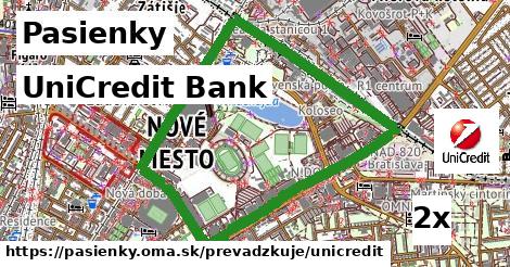 UniCredit Bank v Pasienky